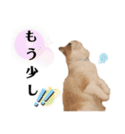 セイジとレモン（個別スタンプ：15）