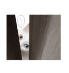 王族に愛された猫（個別スタンプ：4）