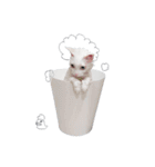 王族に愛された猫（個別スタンプ：6）