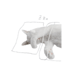 王族に愛された猫（個別スタンプ：8）