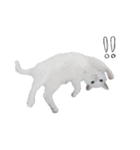 王族に愛された猫（個別スタンプ：10）