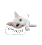 王族に愛された猫（個別スタンプ：15）