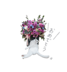 王族に愛された猫（個別スタンプ：16）