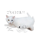王族に愛された猫（個別スタンプ：18）
