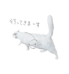 王族に愛された猫（個別スタンプ：19）