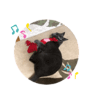 ボクつみれ！！！！（個別スタンプ：3）