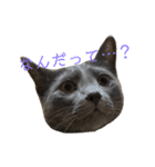 ボクつみれ！！！！（個別スタンプ：14）