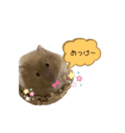 vvぶどうちゃんvv（個別スタンプ：4）
