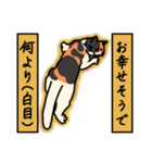 nekomaneki18（個別スタンプ：8）