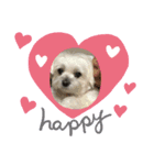 ももです❣️（個別スタンプ：5）