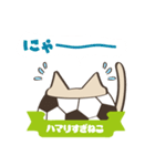 サッカーにハマりすぎねこ（個別スタンプ：3）