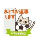 サッカーにハマりすぎねこ（個別スタンプ：10）