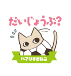 サッカーにハマりすぎねこ（個別スタンプ：13）