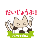 サッカーにハマりすぎねこ（個別スタンプ：14）