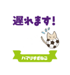 サッカーにハマりすぎねこ（個別スタンプ：17）