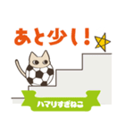 サッカーにハマりすぎねこ（個別スタンプ：30）