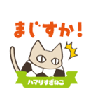 サッカーにハマりすぎねこ（個別スタンプ：33）