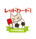 サッカーにハマりすぎねこ（個別スタンプ：39）