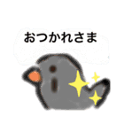 キンカチョウのcちゃんと仲間たち（個別スタンプ：3）