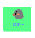 キンカチョウのcちゃんと仲間たち（個別スタンプ：4）