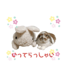 幸村くんのスタンプ（個別スタンプ：3）