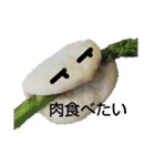 天然こうぼくん（個別スタンプ：14）