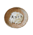 天然こうぼくん（個別スタンプ：16）