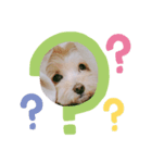 ろこがいっぱい（個別スタンプ：1）