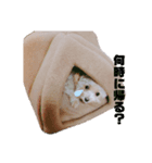 ろこがいっぱい（個別スタンプ：3）