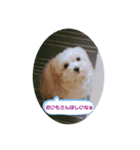 ろこがいっぱい（個別スタンプ：4）