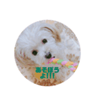 ろこがいっぱい（個別スタンプ：5）