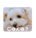 ろこがいっぱい（個別スタンプ：7）