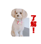 ろこがいっぱい（個別スタンプ：8）
