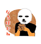 もこもこ君（個別スタンプ：19）