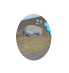 うさぎのしゅん（個別スタンプ：14）