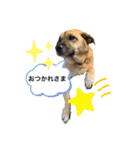 さくら(たまにりん)スタンプ！（個別スタンプ：10）