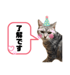さくら(たまにりん)スタンプ！（個別スタンプ：16）
