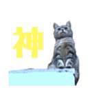 さくら(たまにりん)スタンプ！（個別スタンプ：19）