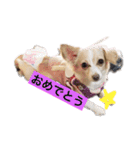 はなちゃんゆずちゃん（個別スタンプ：3）