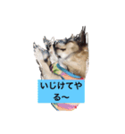 はなちゃんゆずちゃん（個別スタンプ：6）