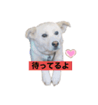 はなちゃんゆずちゃん（個別スタンプ：9）