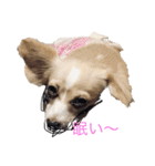 はなちゃんゆずちゃん（個別スタンプ：18）