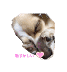 はなちゃんゆずちゃん（個別スタンプ：22）