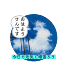 タロの雲（動物編4ー2）（個別スタンプ：7）