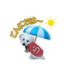 らいとの大冒険（個別スタンプ：1）