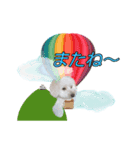 らいとの大冒険（個別スタンプ：2）