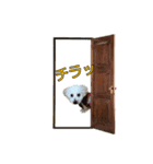 らいとの大冒険（個別スタンプ：6）