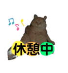 たなカフェ ネコ（個別スタンプ：14）