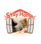 たなカフェ ネコ（個別スタンプ：21）