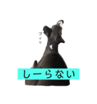 イタグレ・ココのスタンプ（個別スタンプ：7）